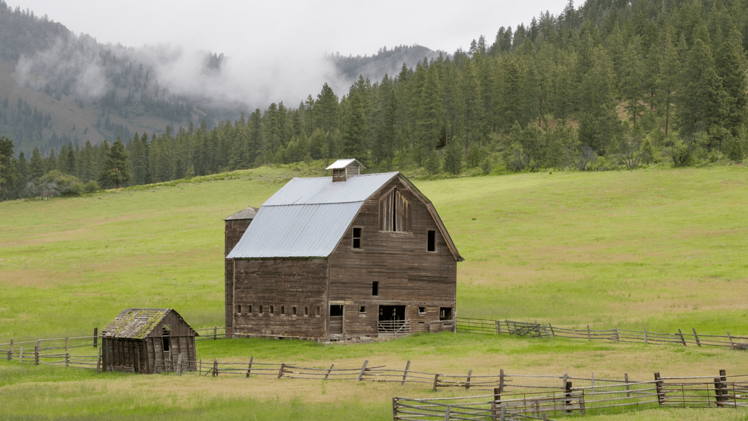 An old wooden homestead left behind by owners moving to a new property