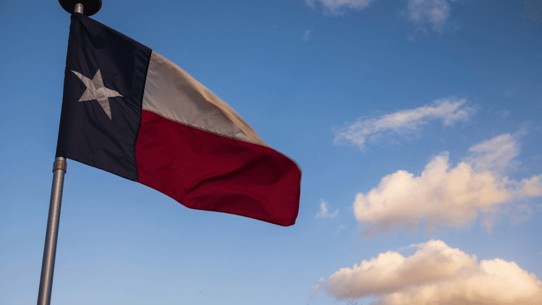 Texas Flag In Brazoria County