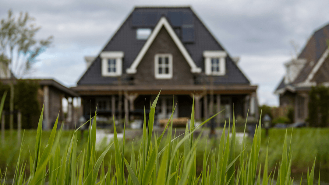 Dark Hi-lofted house behind blades of grass